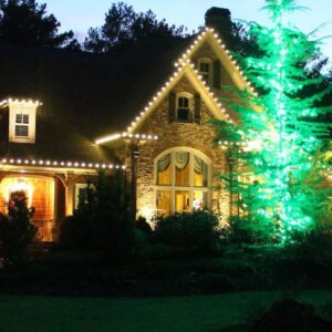 Stone and shingle Georgia home with warm white roofline Christmas lights and a large evergreen wrapped in green lights